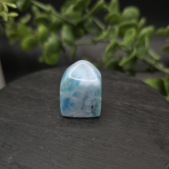 - Larimar Point - Picture 5 of 5